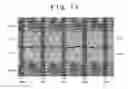 Fig. 02 - Liquid crystal display device
