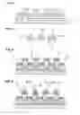 Fig. 03 - Method for producing a medical device or a device with structure elements, method for modifying the surface of a medical device or of a device with structure elements, medical device and laminated composite with a substrate