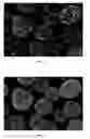 Fig. 04 - Method of quantifying coverage of extra particulate additives on the surface of toner particles