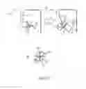 Fig. 34 - Developer accommodating container, developer accommodating unit, process cartridge, and electrophotographic image forming apparatus
