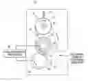 Fig. 01 - Fixing device and image forming apparatus