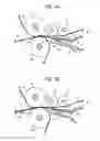Fig. 08 - Image forming apparatus including contact members disposed side by side at positions opposing a guide unit