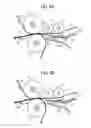 Fig. 09 - Image forming apparatus including contact members disposed side by side at positions opposing a guide unit