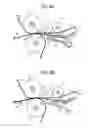 Fig. 10 - Image forming apparatus including contact members disposed side by side at positions opposing a guide unit