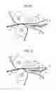 Fig. 22 - Image forming apparatus including contact members disposed side by side at positions opposing a guide unit