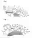 Fig. 05 - Mechanism for driving a jumping element