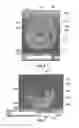 Fig. 07 - Superconducting Fiber and Efficient Cryogenic Cooling