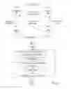Fig. 07 - Combined transparent/non-transparent cache