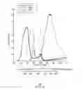 Fig. 06 - Private image viewer