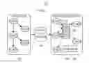 Fig. 01 - Runtime compiler environment with dynamic co-located code execution