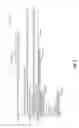 Fig. 06 - High-volume distributed script error handling