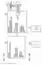 Fig. 07 - Data processing method, information processing device, and recording medium