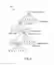 Fig. 06 - N-ary tree for mapping a virtual memory space