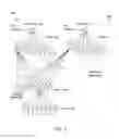 Fig. 07 - N-ary tree for mapping a virtual memory space