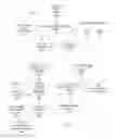 Fig. 07 - Performing cognitive operations based on an aggregate user model of personality traits of users
