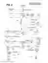 Fig. 03 - Identification and evaluation of lexical answer type conditions in a question to generate correct answers