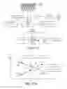 Fig. 17 - Crowd-based scores for hotels from measurements of affective response
