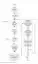 Fig. 07 - Identifying and displaying relationships between candidate answers