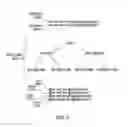 Fig. 06 - Generation of mapping definitions for content management system