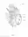 Fig. 11 - Skin-based approach to virtual modeling