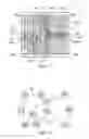 Fig. 06 - Methods for minimizing layout area of IC