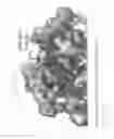 Fig. 04 - Chemical Modulators of Pro-Apoptotic BAX and BCL-2 Polypeptides