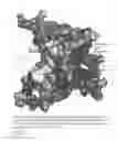 Fig. 06 - Chemical Modulators of Pro-Apoptotic BAX and BCL-2 Polypeptides