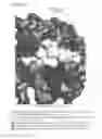 Fig. 07 - Chemical Modulators of Pro-Apoptotic BAX and BCL-2 Polypeptides