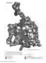 Fig. 08 - Chemical Modulators of Pro-Apoptotic BAX and BCL-2 Polypeptides