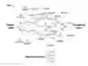 Fig. 01 - Scalable pipeline for local ancestry inference