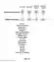 Fig. 16 - Scalable pipeline for local ancestry inference