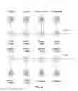 Fig. 17 - Scalable pipeline for local ancestry inference