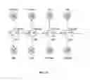 Fig. 18 - Scalable pipeline for local ancestry inference