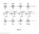 Fig. 19 - Scalable pipeline for local ancestry inference