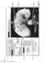 Fig. 05 - Method and device for displaying a first image and a second image of an object