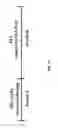 Fig. 78 - MOLECULAR PROFILING OF TUMORS
