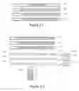 Fig. 12 - Content distribution with renewable content protection