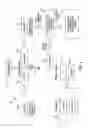 Fig. 06 - Entity IP mapping