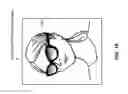 Fig. 20 - Fitting glasses frames to a user