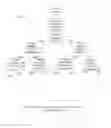 Fig. 12 - Human body pose estimation