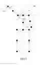 Fig. 06 - Machine-implemented method and system for recognizing a person hailing a public passenger vehicle