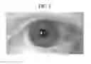Fig. 03 - Apparatus for recognizing iris and operating method thereof