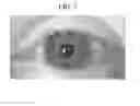 Fig. 04 - Apparatus for recognizing iris and operating method thereof