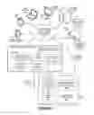Fig. 02 - Adjusting fact-based answers to consider outcomes