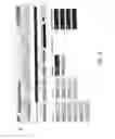 Fig. 03 - Provision of alert messages to customers of an establishment