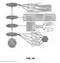 Fig. 27 - Workforce virtualization