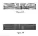Fig. 06 - Realogram scene analysis of images: shelf and label finding