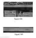 Fig. 14 - Realogram scene analysis of images: shelf and label finding