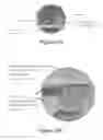 Fig. 20 - Realogram scene analysis of images: shelf and label finding