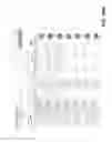 Fig. 24 - Systems and Methods for Estimating the Transaction Values of Customer Interactions